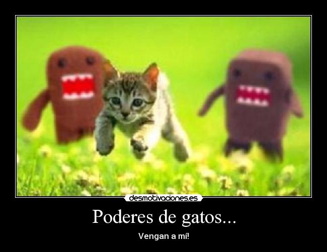 Poderes de gatos... - Vengan a mí!