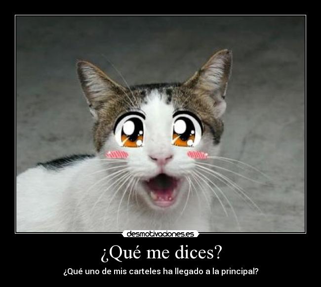 ¿Qué me dices? - ¿Qué uno de mis carteles ha llegado a la principal?