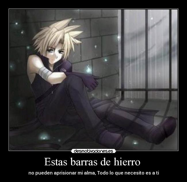 Estas barras de hierro -