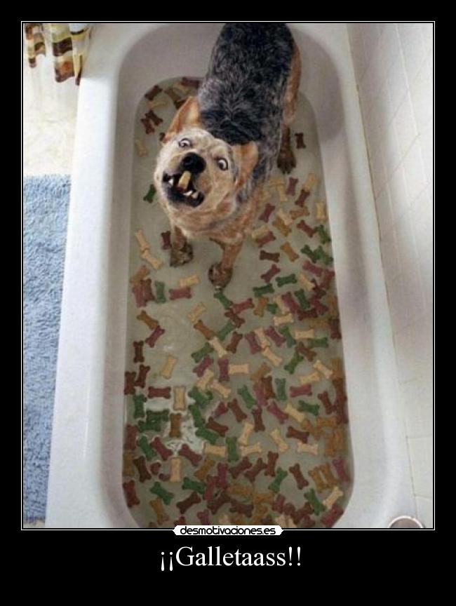 ¡¡Galletaass!! -