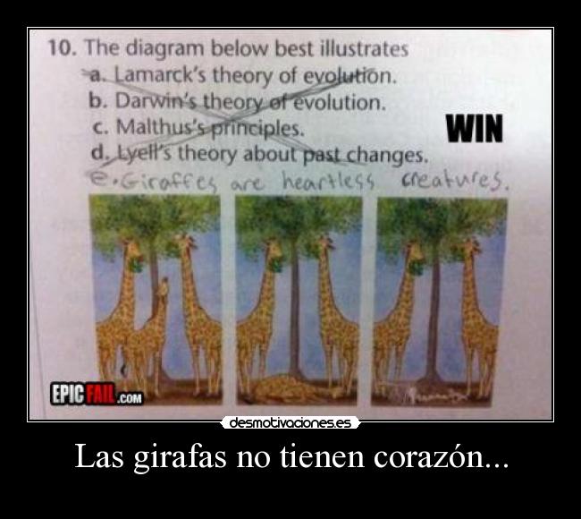 Las girafas no tienen corazón... -