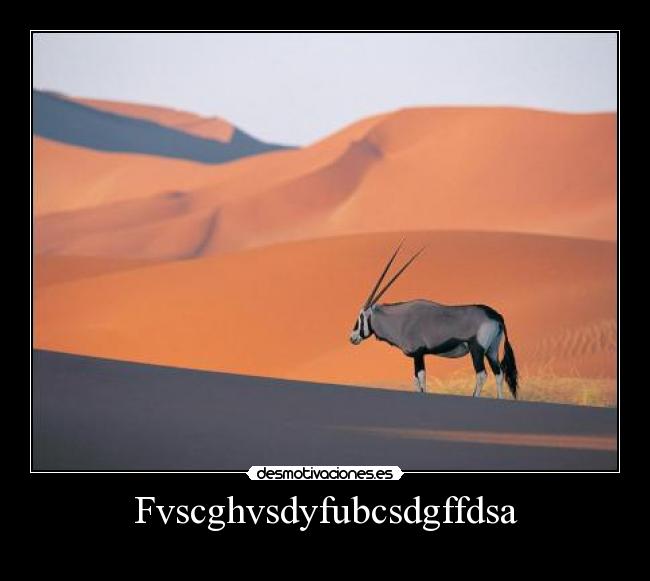 Fvscghvsdyfubcsdgffdsa -