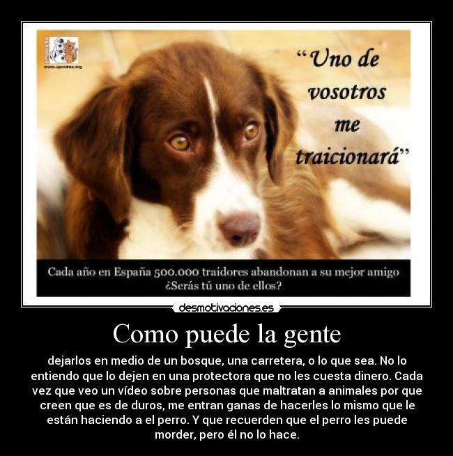 Como puede la gente - dejarlos en medio de un bosque, una carretera, o lo que sea. No lo
entiendo que lo dejen en una protectora que no les cuesta dinero. Cada
vez que veo un vídeo sobre personas que maltratan a animales por que
creen que es de duros, me entran ganas de hacerles lo mismo que le
están haciendo a el perro. Y que recuerden que el perro les puede
morder, pero él no lo hace.