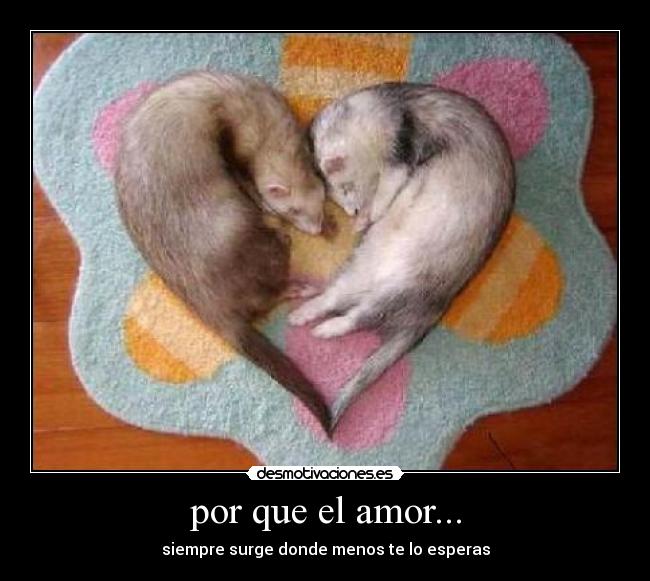 por que el amor... - 