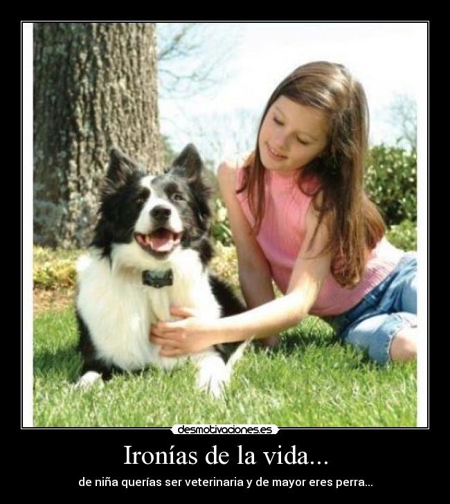 Ironías de la vida... - de niña querías ser veterinaria y de mayor eres perra...