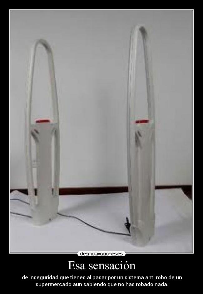 carteles pisano serkiller desmotivaciones