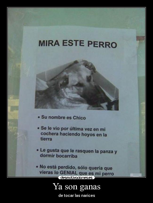 carteles  desmotivaciones