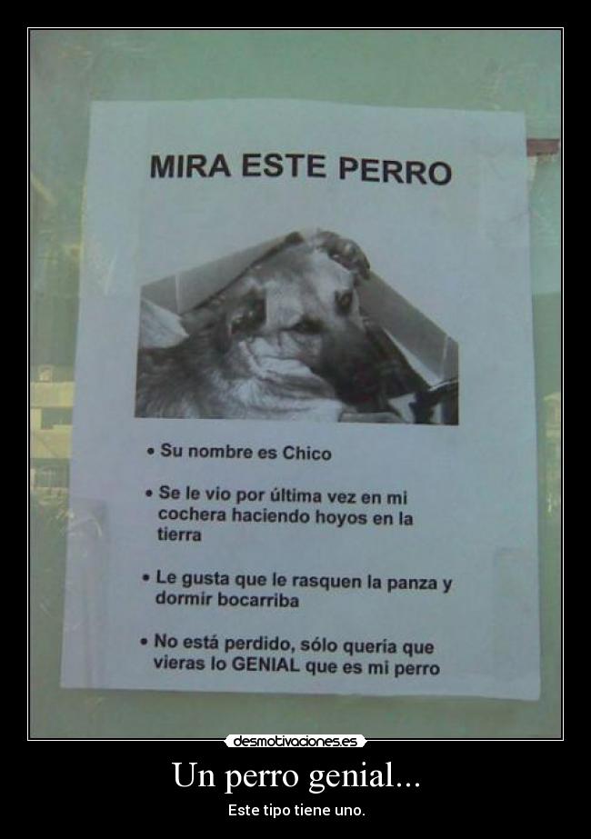 Un perro genial... - 