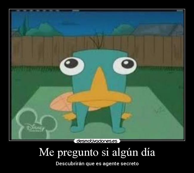 carteles pregunto algun dia desmotivaciones