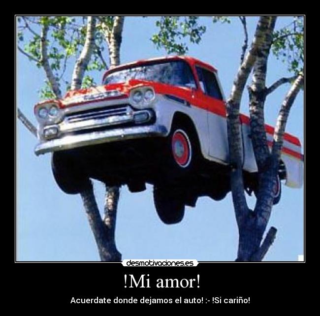 !Mi amor! - Acuerdate donde dejamos el auto! :- !Si cariño!