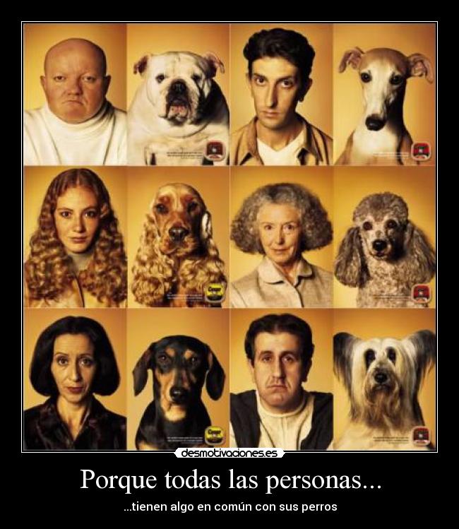 Porque todas las personas... -