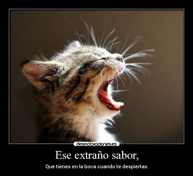 carteles sabor desmotivaciones