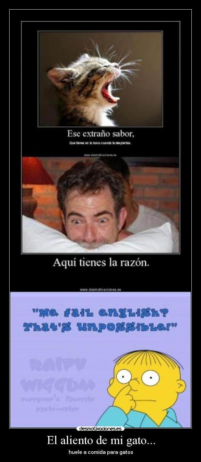 El aliento de mi gato... -