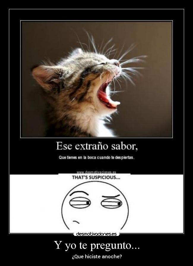 Y yo te pregunto... - ¿Que hiciste anoche?