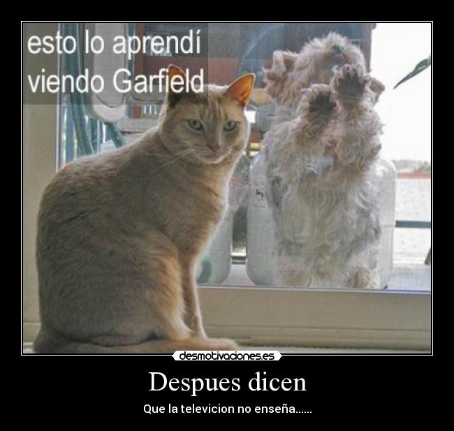 Despues dicen - Que la televicion no enseña......