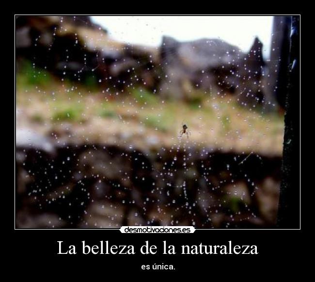 La belleza de la naturaleza - es única.