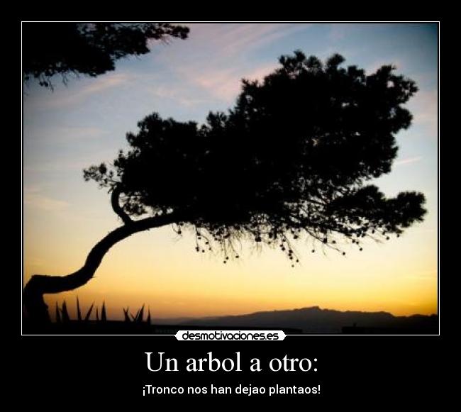 Un arbol a otro: - ¡Tronco nos han dejao plantaos!
