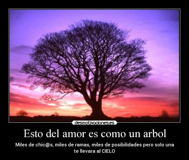 Esto del amor es como un arbol - Miles de chic@s, miles de ramas, miles de posibilidades pero solo una
te llevara al CIELO