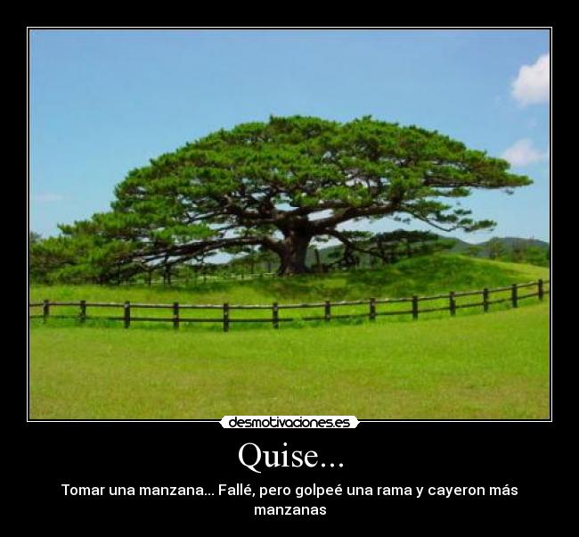 Quise... - Tomar una manzana... Fallé, pero golpeé una rama y cayeron más manzanas
