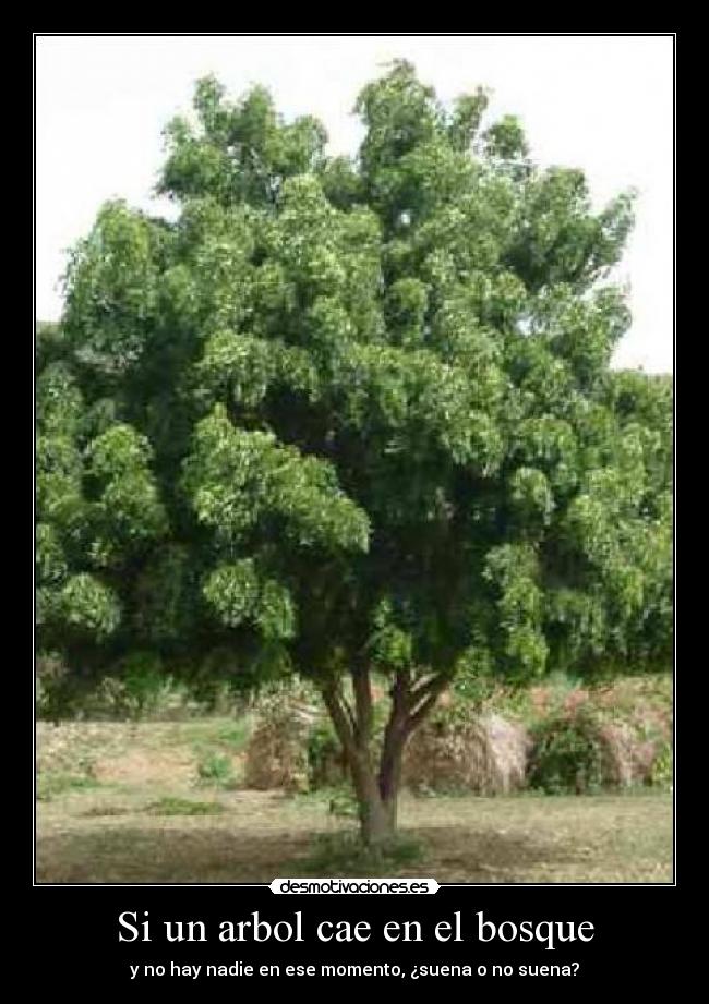 Si un arbol cae en el bosque - 