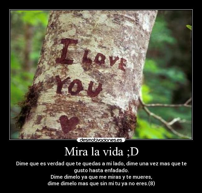 Mira la vida ;D - Dime que es verdad que te quedas a mi lado, dime una vez mas que te
gusto hasta enfadado.
Dime dimelo ya que me miras y te mueres,
dime dimelo mas que sin mi tu ya no eres.(8)