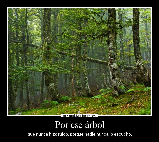 Por ese árbol - que nunca hizo ruido, porque nadie nunca lo escucho.