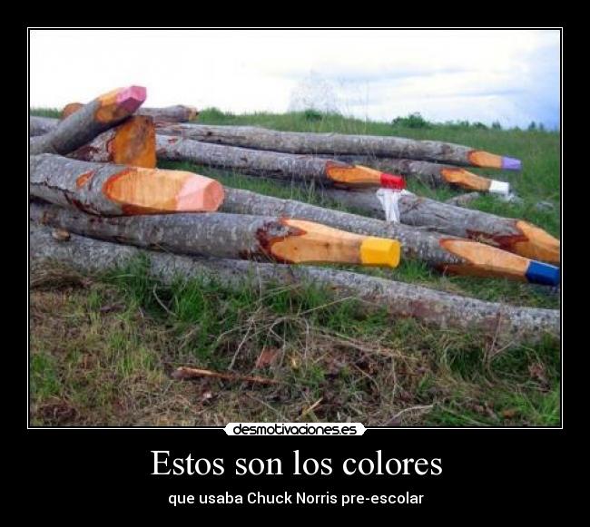 Estos son los colores - que usaba Chuck Norris pre-escolar