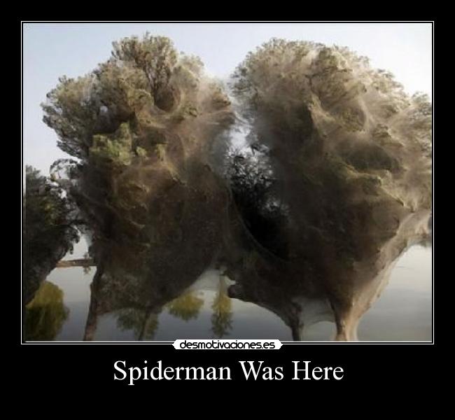 Spiderman Was Here - 