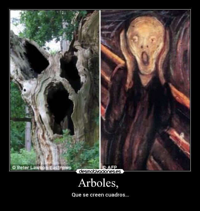 Arboles,  - 