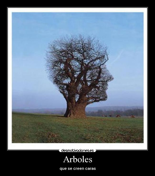 Arboles - que se creen caras