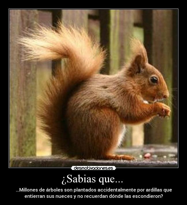 carteles desmotivaciones