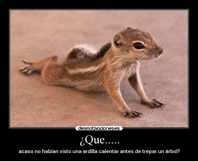 ¿Que..... - 