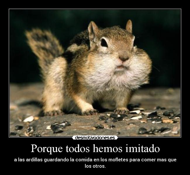 Porque todos hemos imitado -