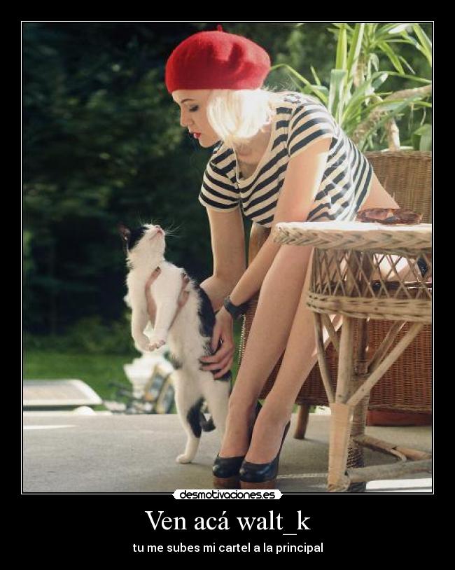 Ven acá walt_k -