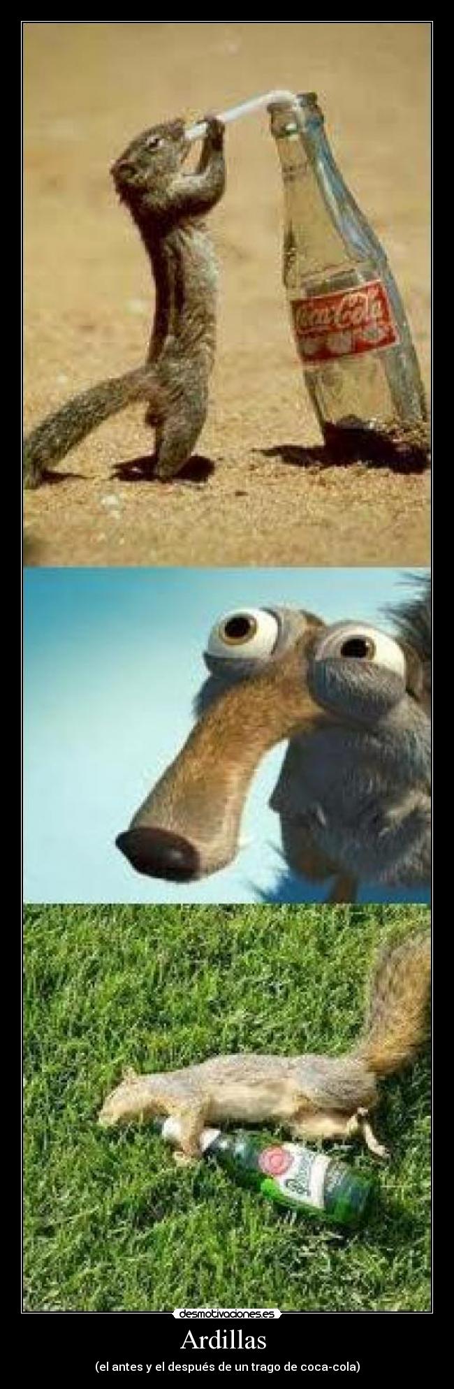 Ardillas  - (el antes y el después de un trago de coca-cola)