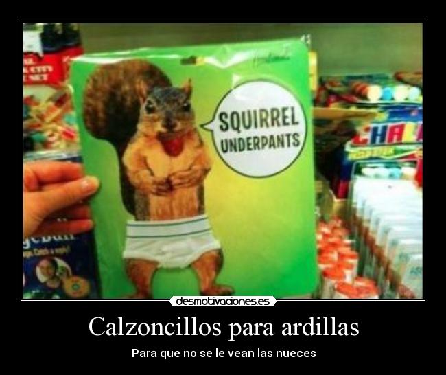 carteles ardillas calzoncillos desmotivaciones