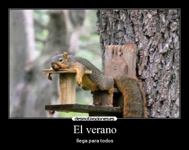 El verano -