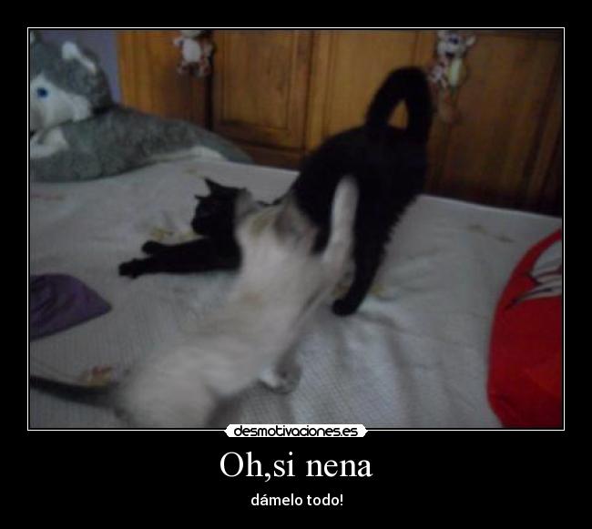 Oh,si nena - 