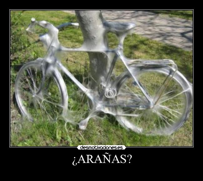 ¿ARAÑAS? - 