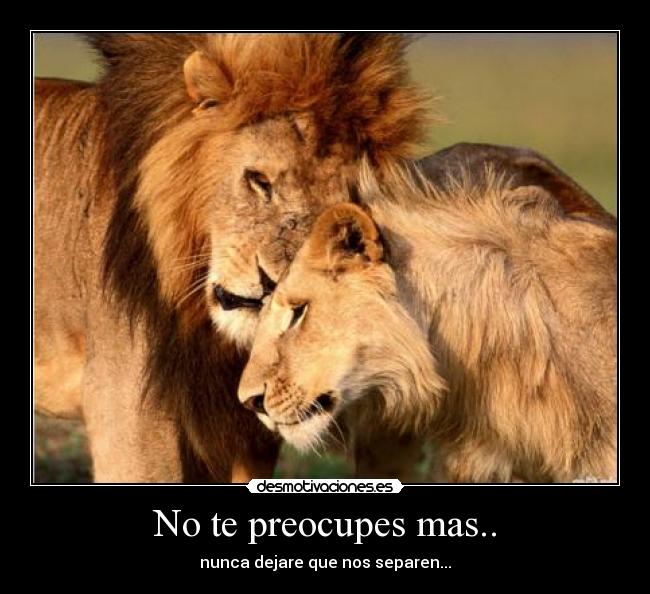 No te preocupes mas.. - nunca dejare que nos separen...