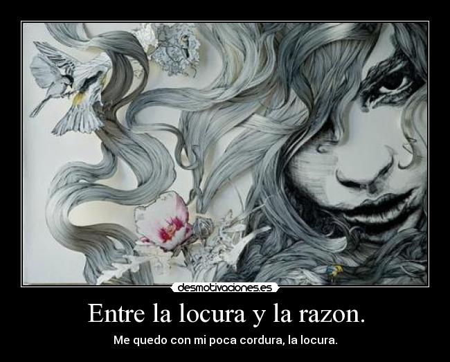 Entre la locura y la razon. - 