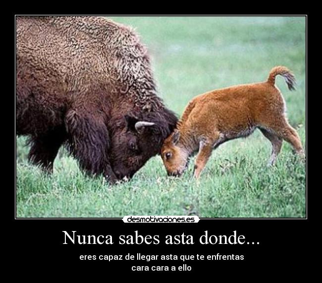 Nunca sabes asta donde... -