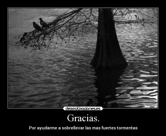 Gracias. - Por ayudarme a sobrellevar las mas fuertes tormentas