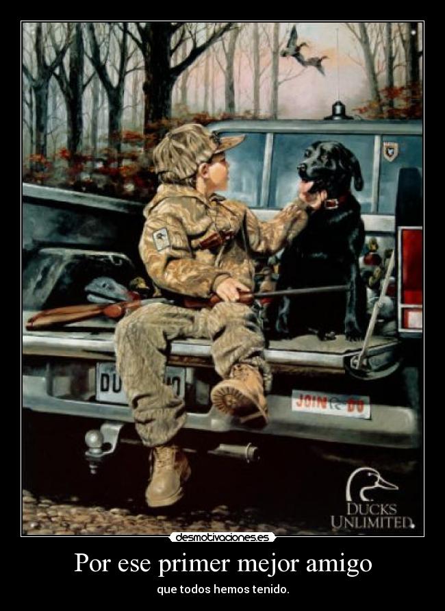 carteles nothing desmotivaciones