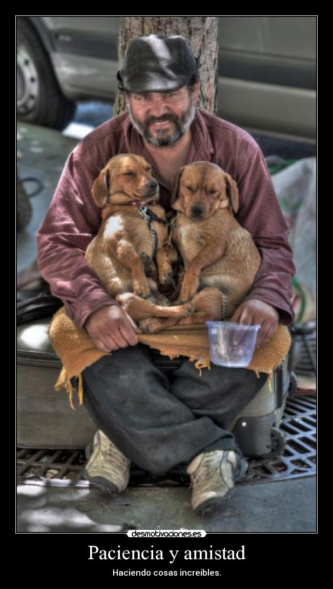 Paciencia y amistad -