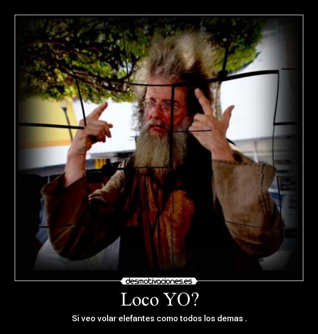 Loco YO? - Si veo volar elefantes como todos los demas .