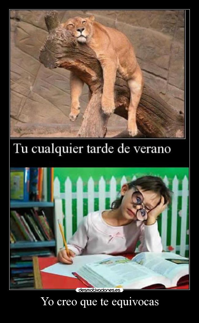 Yo creo que te equivocas -