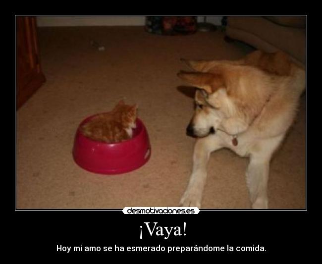 ¡Vaya! - 
