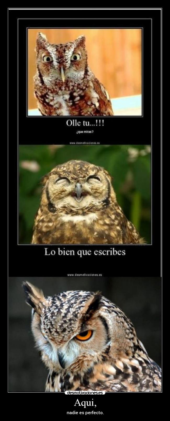 Aqui, - nadie es perfecto.