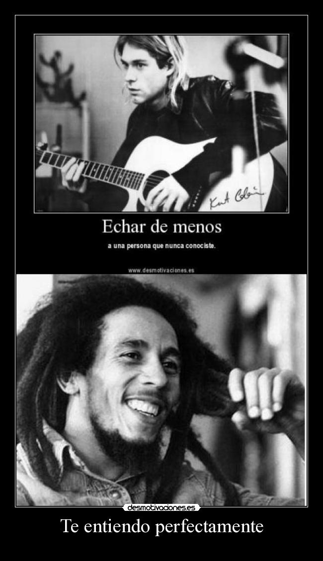 Te entiendo perfectamente - 